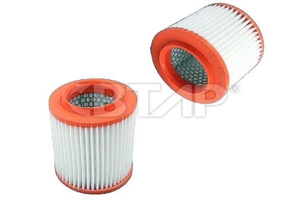 Air Filter (BVE301-033)