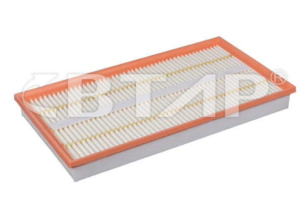 Air Filter (BME301-009)