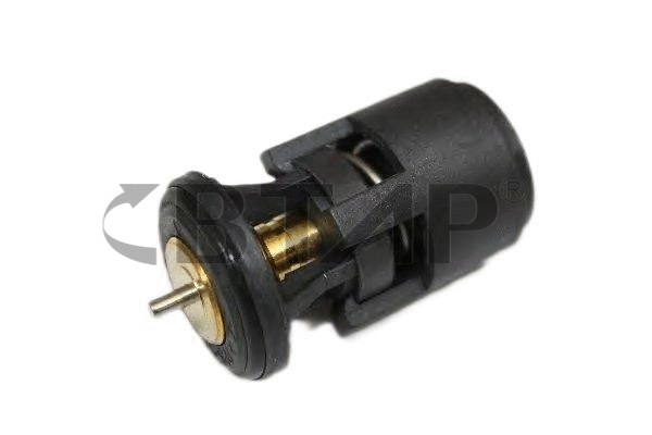 Thermostat, coolant (BVE902-039)