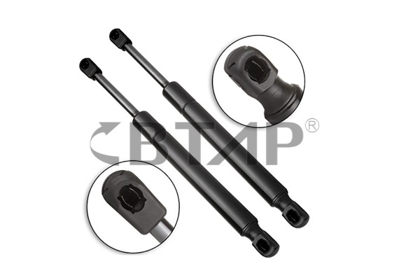 Gas Spring (BVB109-009)