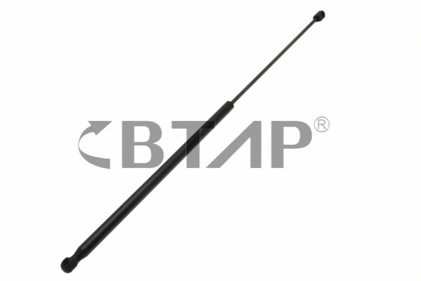 Gas Spring (BVB109-046)