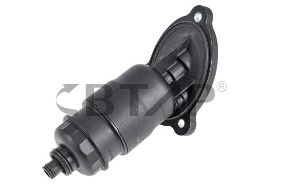 Hydraulic Filter, automatic transmission (BVE101-029)