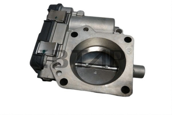 Throttle Body (BVE313-007)