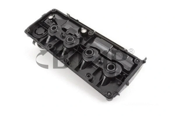 Cylinder Head (BVE316-001)