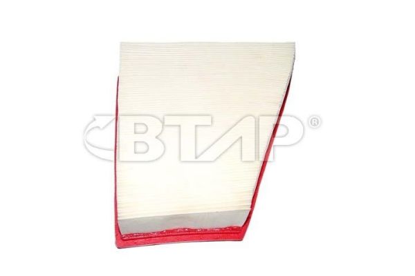 Air Filter (BVE301-005)