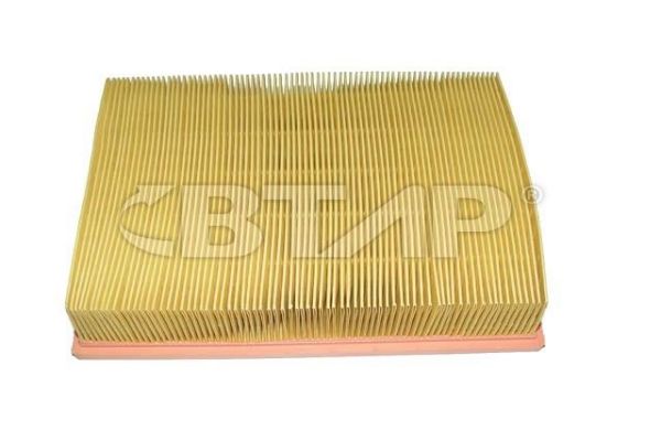 Air Filter (BBE301-004)