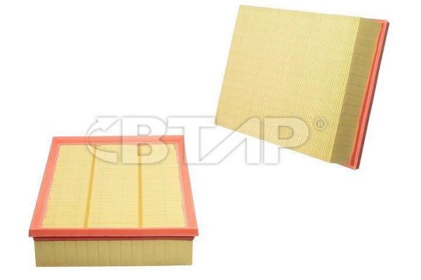 Air Filter (BVE301-029)