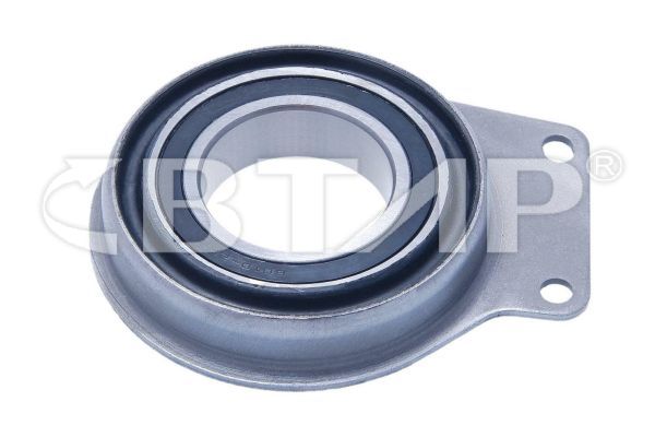 Bearing (BBB201-001)