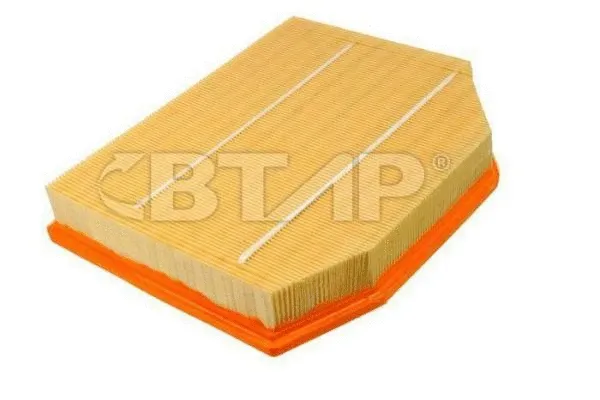 Air Filter (BBE301-033)