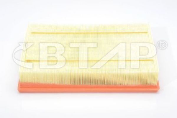 Air Filter (BVE301-037)