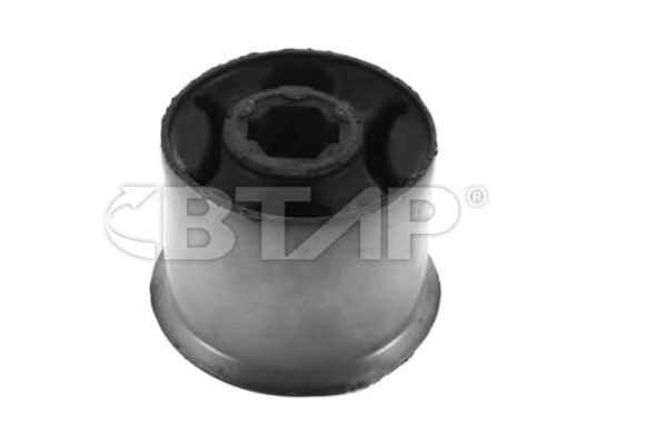 Mounting, control/trailing arm (BVC303-020)