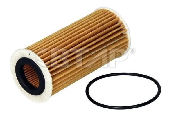 Oil Filter (BVE101-003)