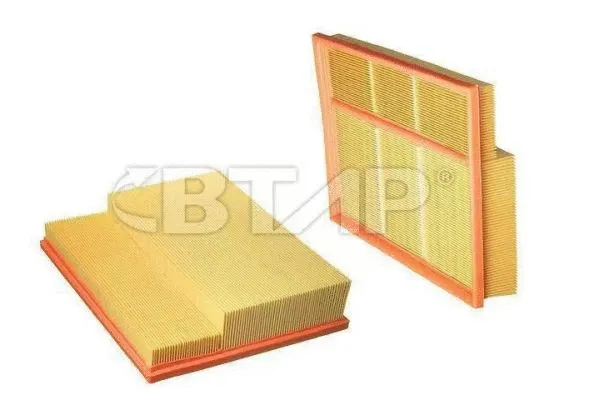 Air Filter (BME301-065)