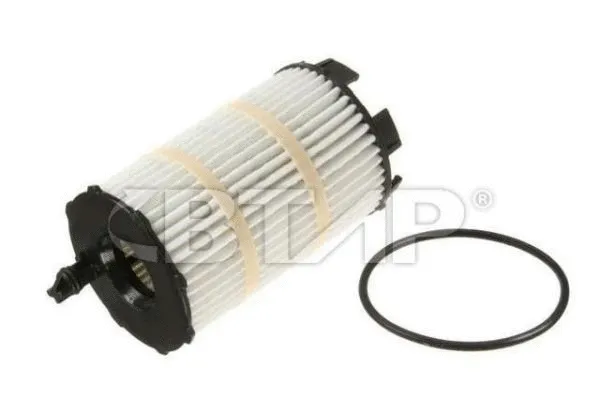 Oil Filter (BVE101-281)