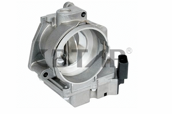 Throttle Body (BVE313-006)