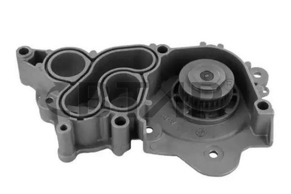 Water Pump, engine cooling (BVE901-011)