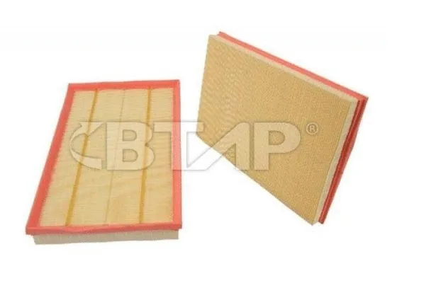 Air Filter (BBE301-007)