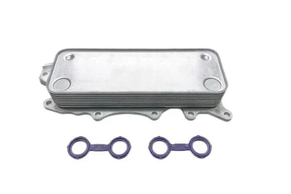 Oil Cooler, engine oil (BME105-009)