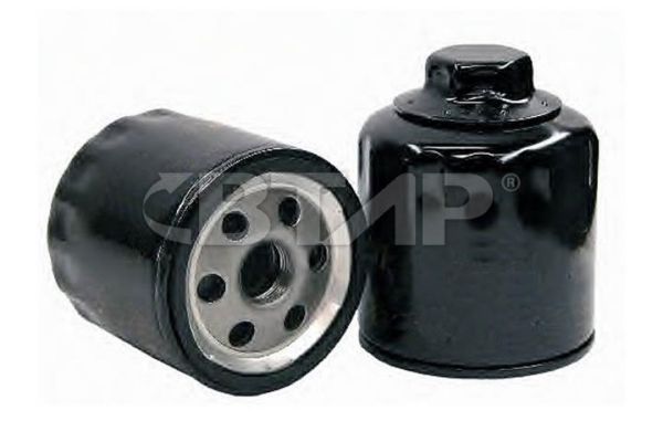 Oil Filter (BVE101-252)
