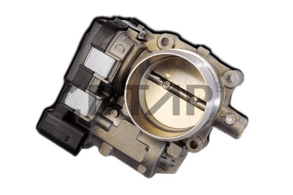 Throttle Body (BVE313-565)