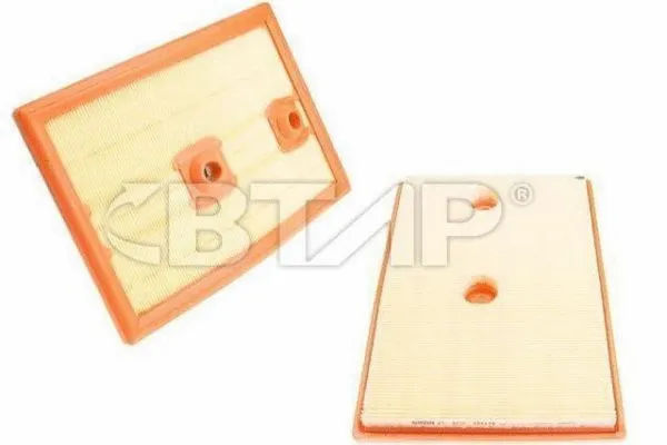 Air Filter (BVE301-015)