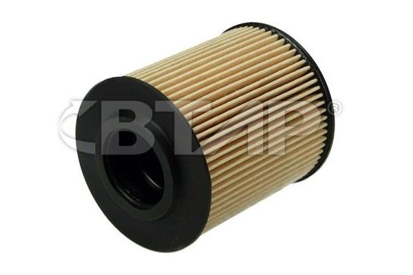 Oil Filter (BVE101-015)