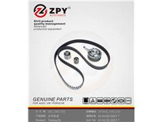 Timing Belt Kit (04L198119A)