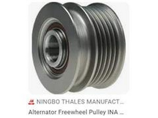 Alternator Freewheel Clutch (038903119Q)