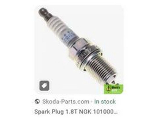 Spark Plug (101000063AA)
