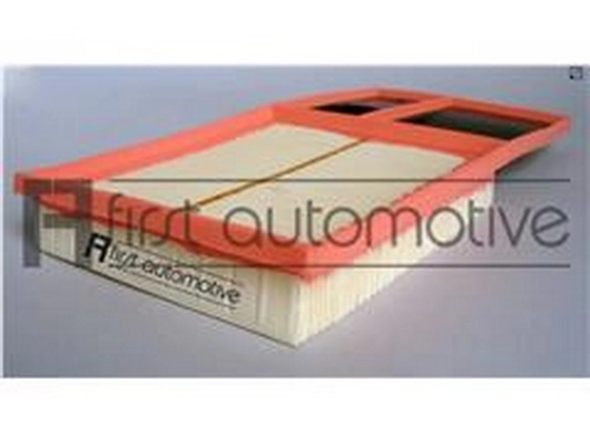 Air Filter (036 129 620 H)