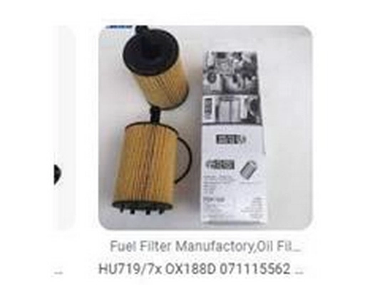 Oil Filter (071115562A)