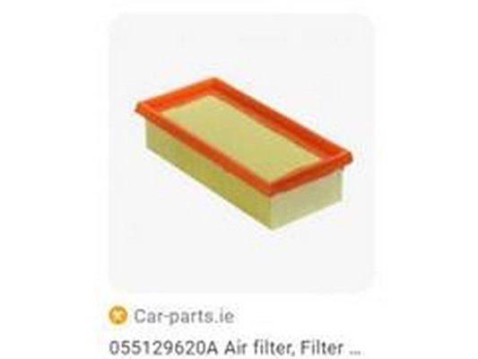 Air Filter (055129620A)