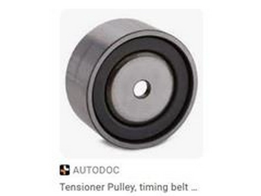 Timing Belt Kit (078109244)