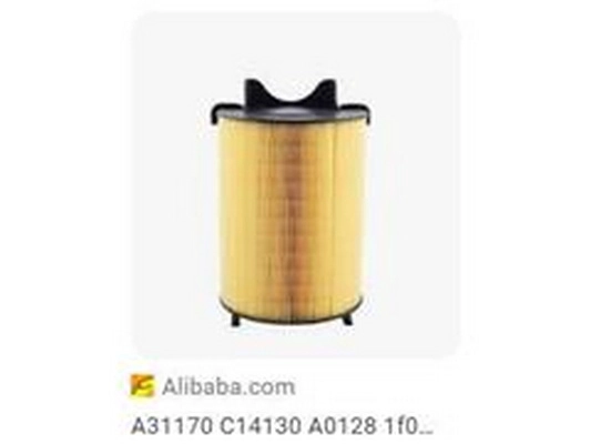 Air Filter (3C0129620)