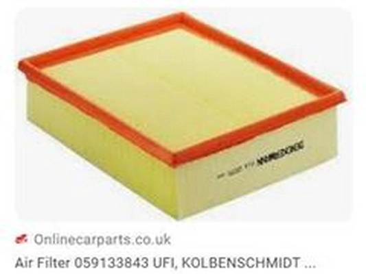 Air Filter (059133843A)