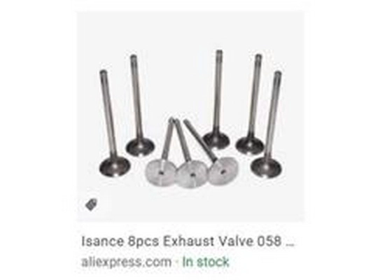 Intake Valve (058 109 611E)