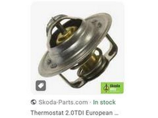 Thermostat, coolant (03G121113)
