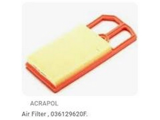 Air Filter (036129620F)