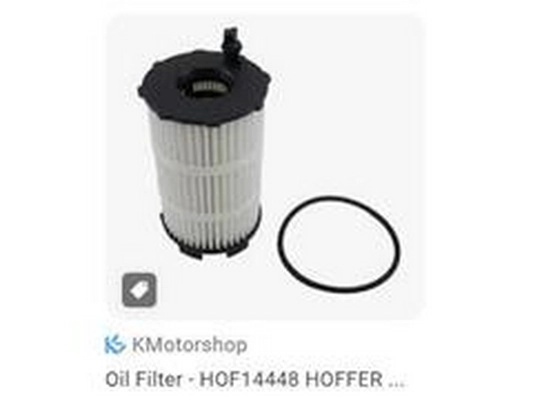 Oil Filter (079198405B)