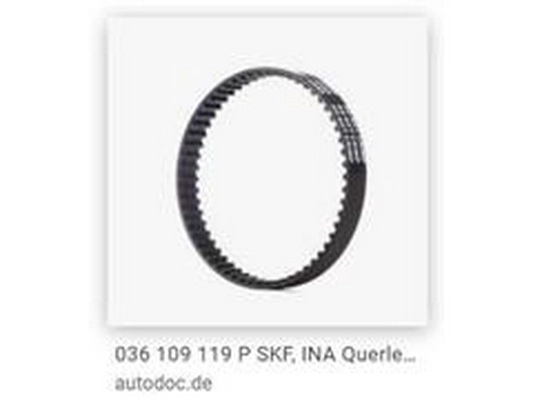 Timing Belt (036 109 119 P)