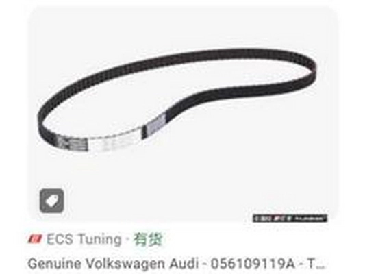 Timing Belt (056109119A)