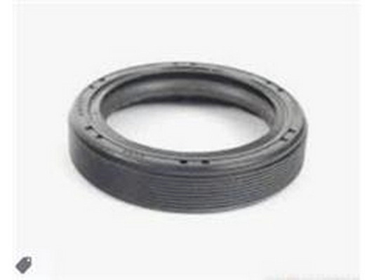 Timing Chain Kit (038 103 085E)