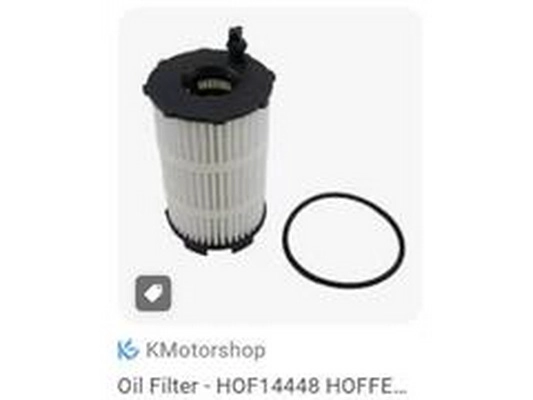 Oil Filter (079115561F)