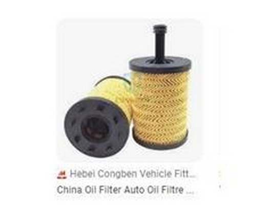 Oil Filter (045115466A)
