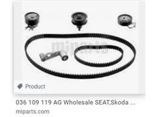 Timing Belt Kit (036 198 119 E)