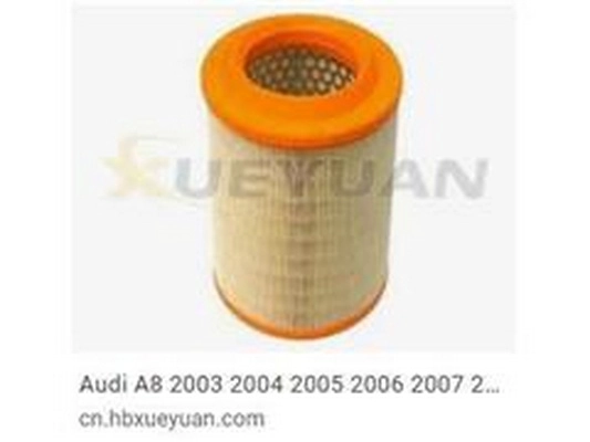 Air Filter (4E0129620C)