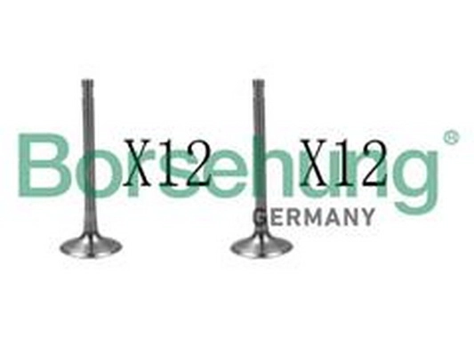 Exhaust Valve (06D109611K)