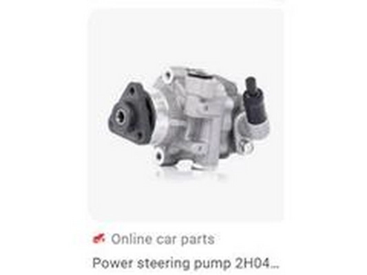 Hydraulic Pump, steering (2H0422154A)