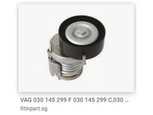 Tensioner Lever, V-ribbed belt (030 145 299 C)