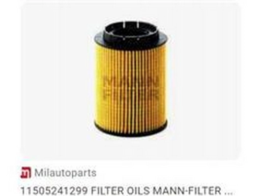 Oil Filter (77115562)